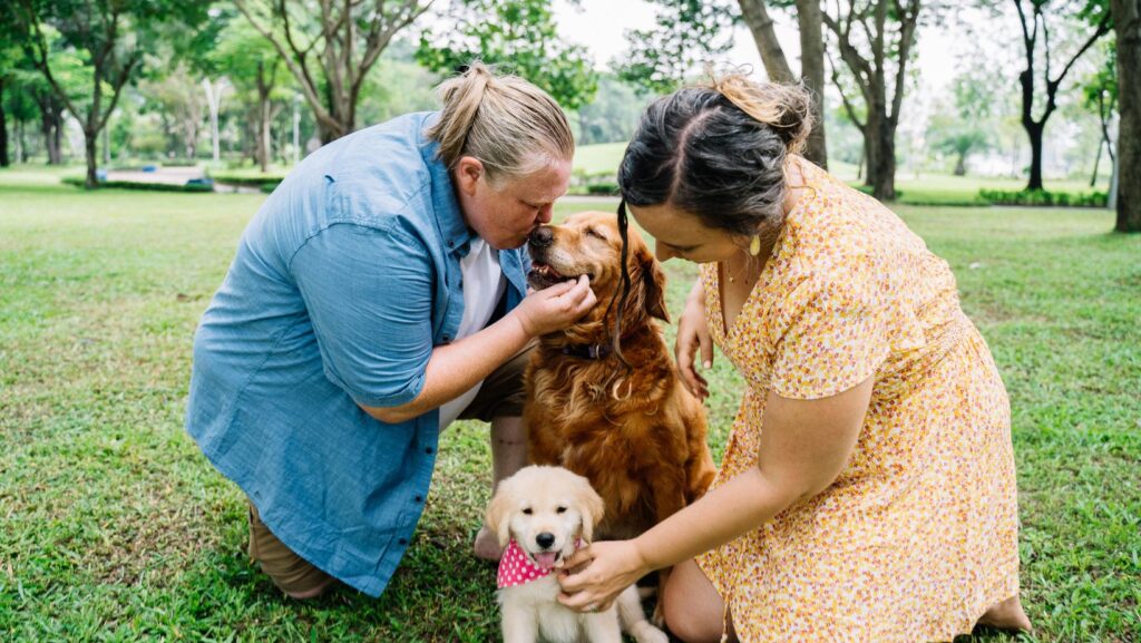 tips when having dogs in long travel